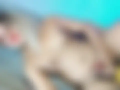 Show Webcam de Ryzadream69