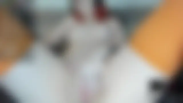kisssiiik's Webcam Show