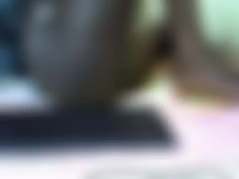 Lexieeluv – live chatrum