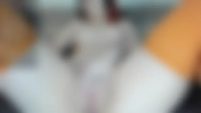 kisssiiik ওয়েবক্যাম শো