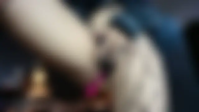 AlexHoe_ লাইভ XXX চ্যাট