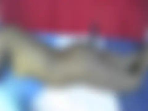 portiax 即時 XXX 聊天