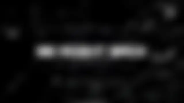 Webkamerová show Willoris