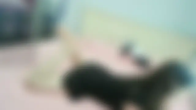 Yuzuki-sweet Show Webcam
