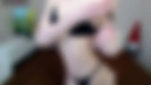 SelinLi 网络视讯表演