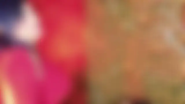 JACKI_JOn Webbikameraesitys