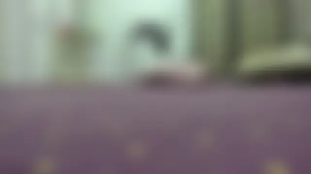 AishaRouhi Webcam show