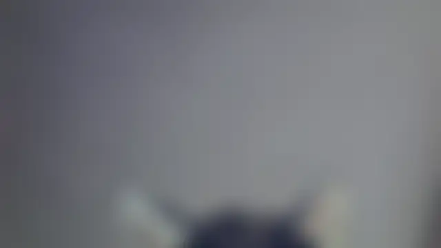 SkinnyKitten webkamerás műsora