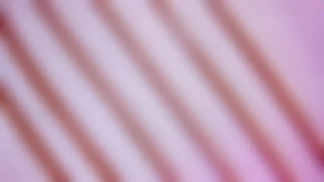 violetsmith1_n Webbikameraesitys