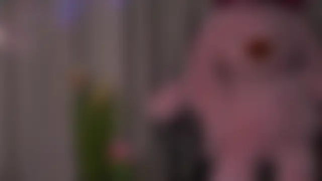 EviaRabasca 라이브 XXX 채팅