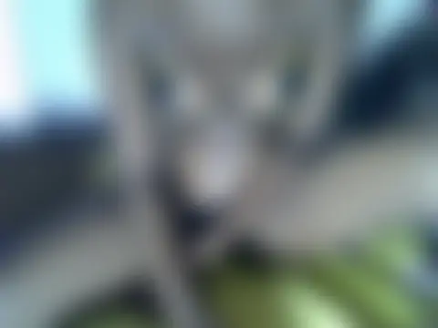 Xokitty29's Live Chat Room