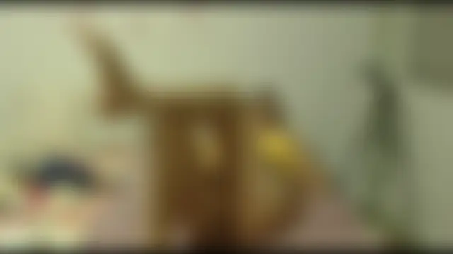 milchanel ওয়েবক্যাম শো