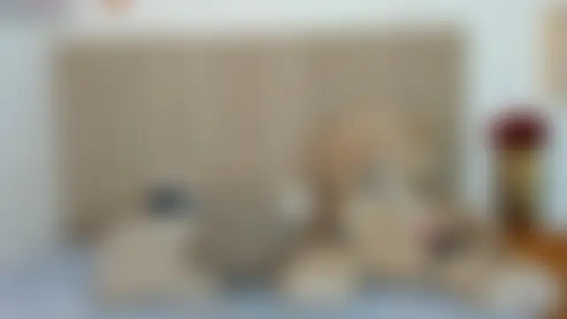 izadii Show Webcam