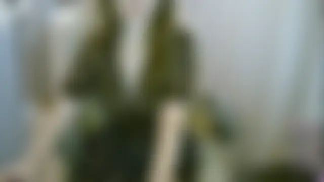 mari3999 网络视讯表演