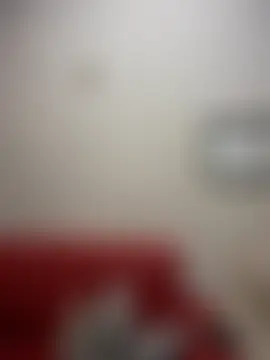 NovaFoxx 现场聊天室