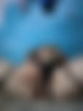 Webkamerová show Dianita2216