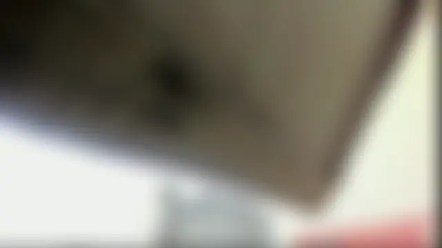 Webkamerová show stefy_bratz