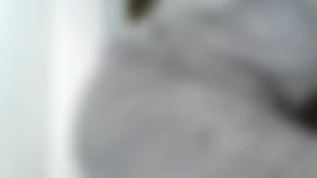 Chat XXX ao vivo de SweetShailynn