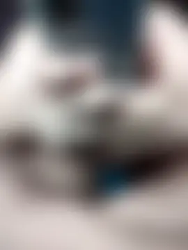 عرض كام x_-hot