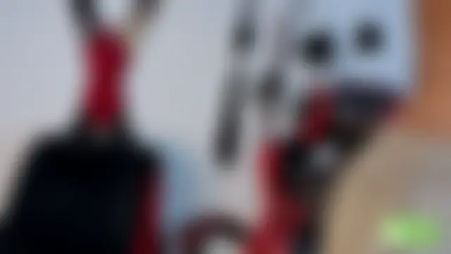 Show sexual ao vivo de Grace_and_Milo