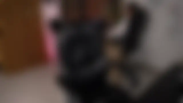secretary_bjのウェブカメラショー