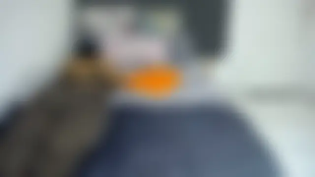BootySoYummyX live XXX chat