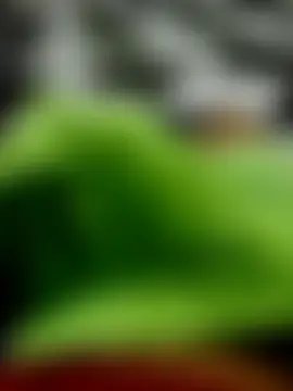 miximilian Webcam show
