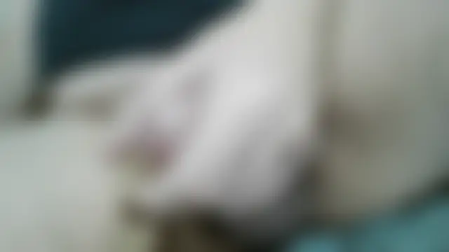 messi_syssy 웹캠 쇼