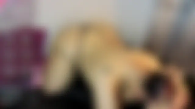 CloeBunny_ Show in webcam