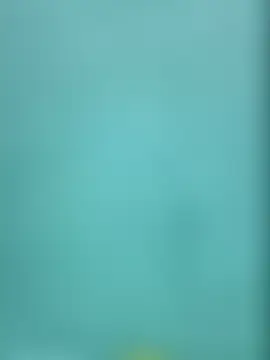 Shine_Maiのウェブカメラショー