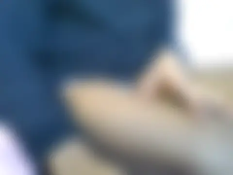 Онлайн чат Thandie40