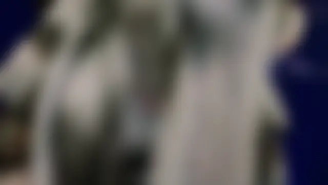 عرض كام Nalan__