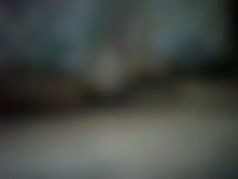 ALLDOMX Webcam show
