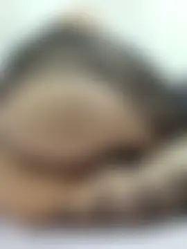Phòng Chat Trực Tiếp VelvetKiM_91