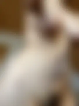 Chat ao vivo de NattCastillo