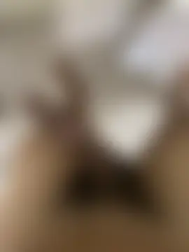 patexisn Webbikameraesitys