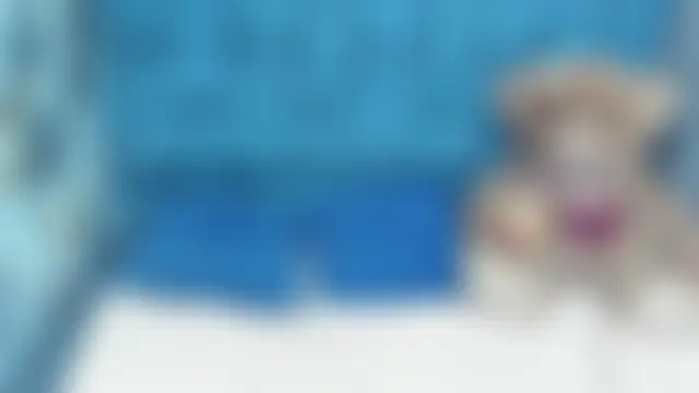 ValentinaKlean Chat XXX in diretta