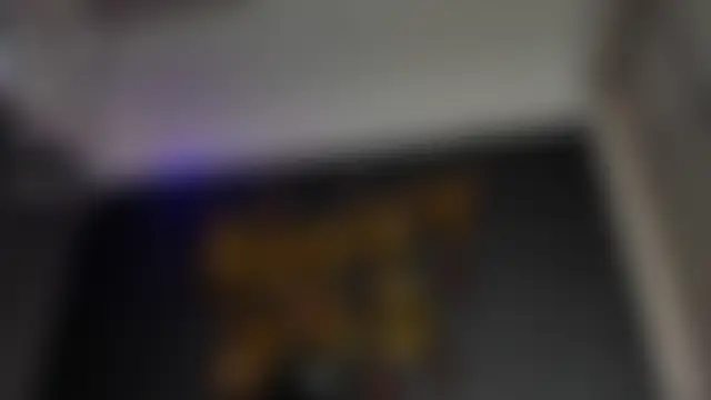 thiagomeneses01のウェブカメラショー