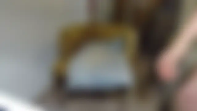 Show de sexo ao vivo de Fergaro