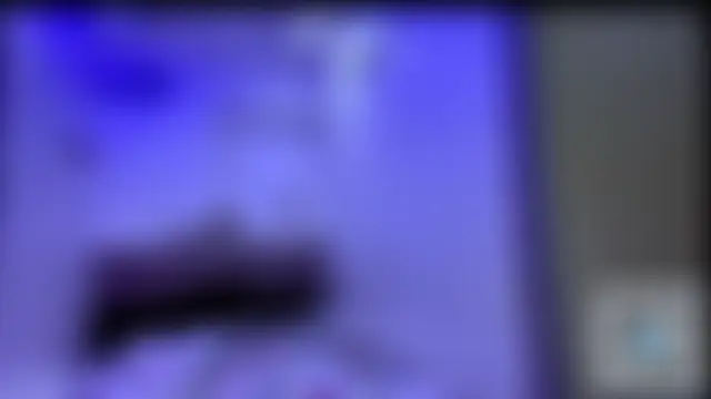Dreamyblushfairy Cameră chat live