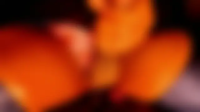 TS_MILK ওয়েবক্যাম শো