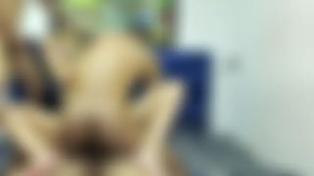 Show de cámara de sexo en directo de CamilaGirlAndTwoBoy