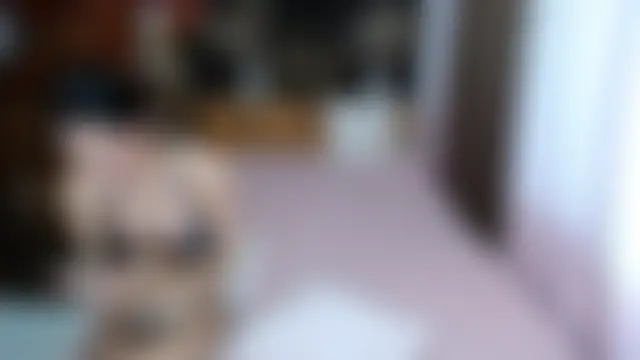 Mia_Akilah21のウェブカメラショー
