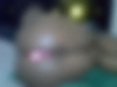 Sembang XXX Secara Langsung Boujee_tyra