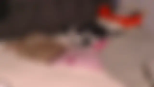 Dic_starn Webbikameraesitys