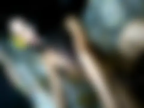stella-kates 웹캠 쇼