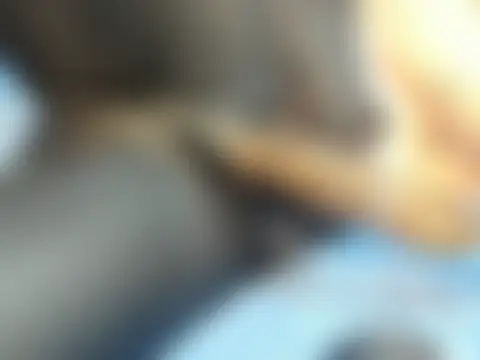 sandyquinnxx's Live Chat Room