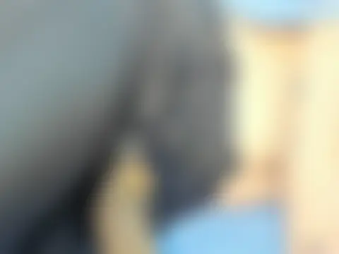 sandyquinnxx লাইভ চ্যাট রুম