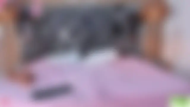 Pokój czatu na żywo – Selene__Lopez_