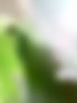 kalara_kail 실시간 채팅방